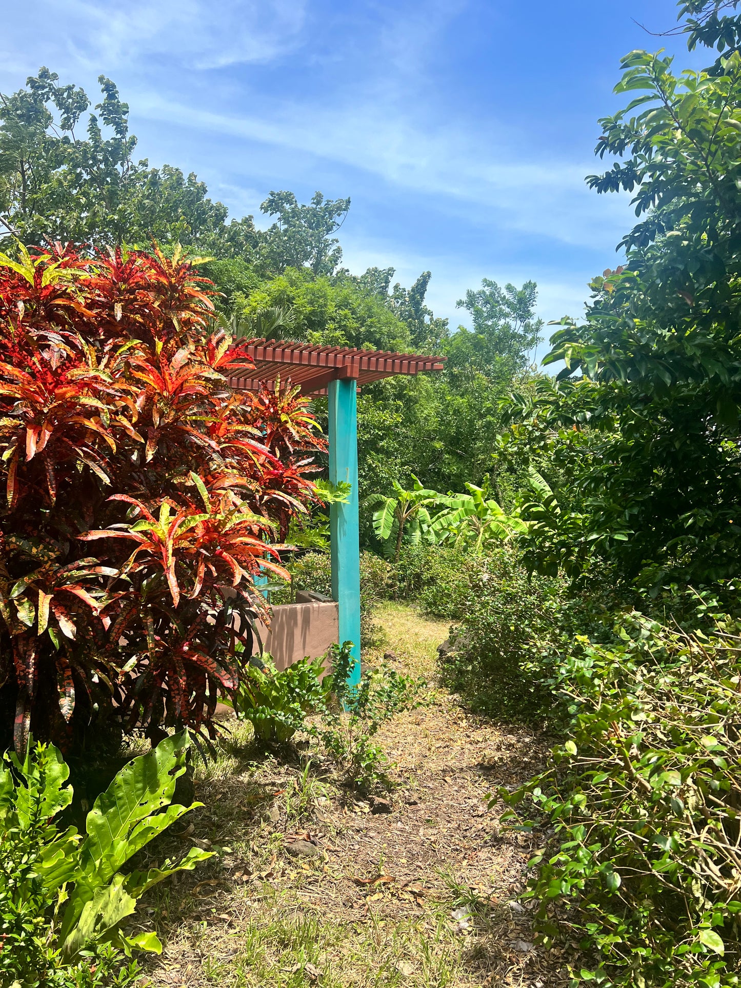 A selection from 52 different species of native trees.