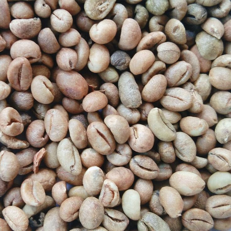 Ometepe Coffee Beans - Reserve A Whole Plant Yield