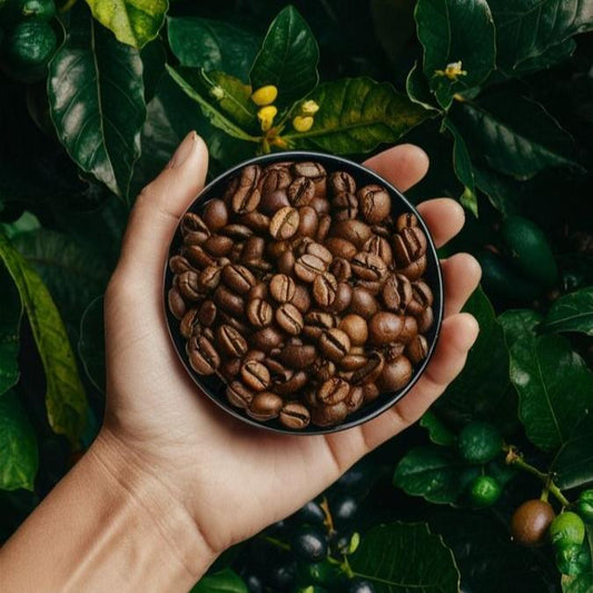 Ometepe Coffee Beans - Reserve A Whole Plant Yield